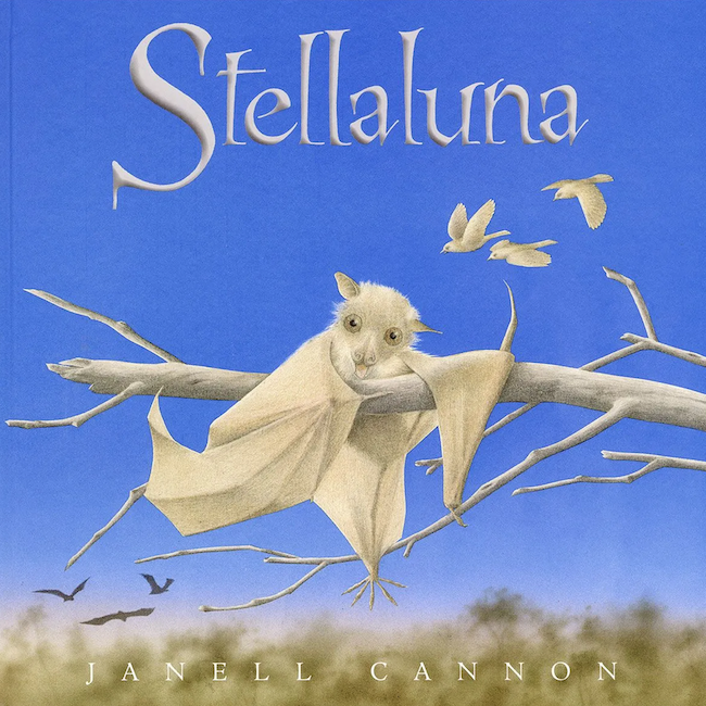 Stellaluna Board Book