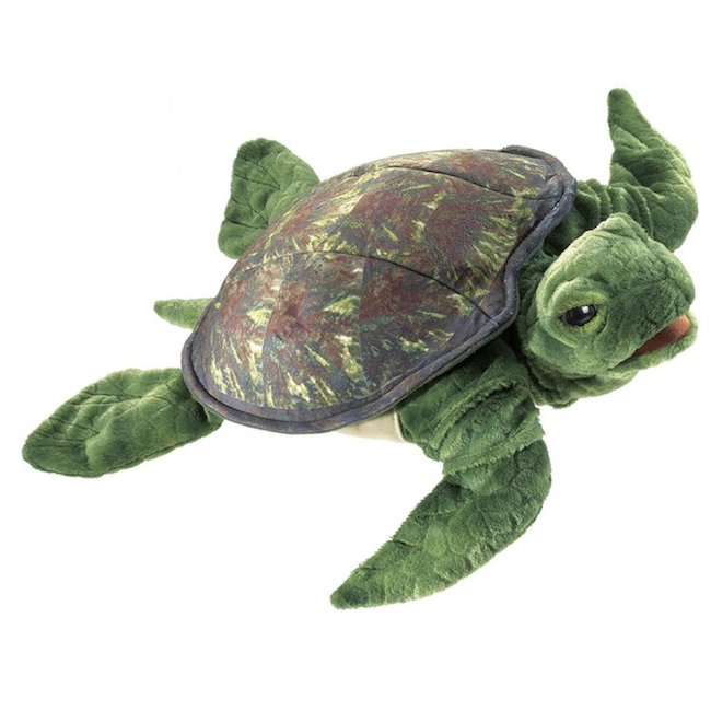 Sea Turtle