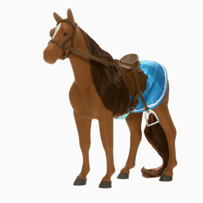 Sirius the Welsh Mountain Pony