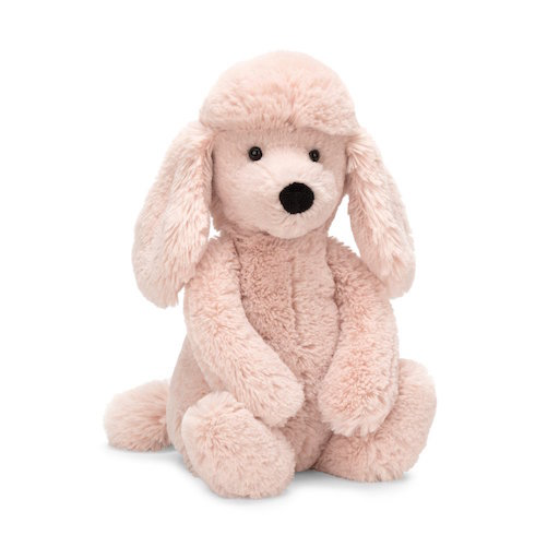 Bashful Medium Poodle