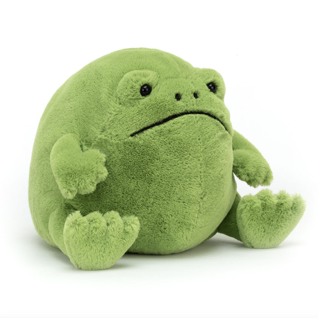 Ricky Rain Frog