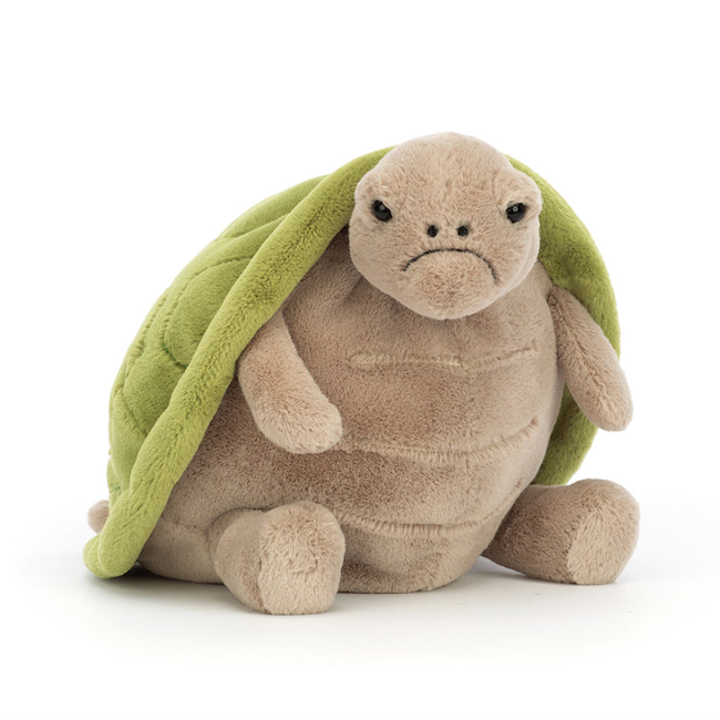 Timmy Turtle