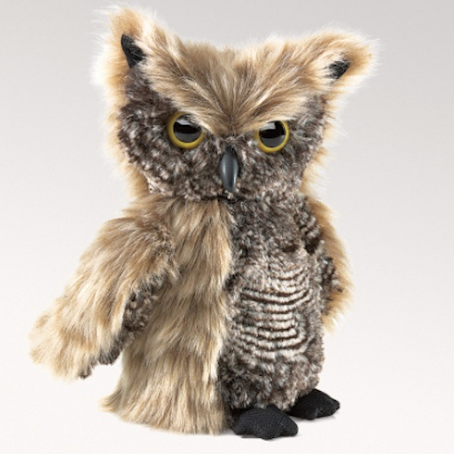Screech Owl