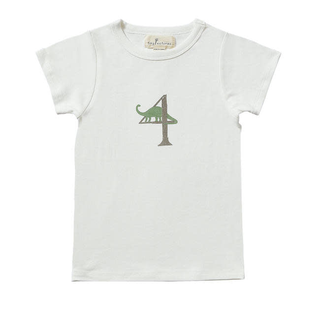 Dinosaur Birthday Short Sleeve T-Shirt