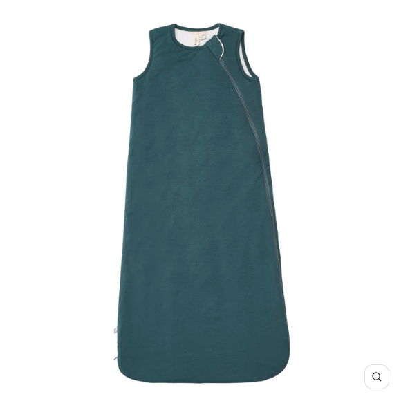 Sleep Bag  2.5