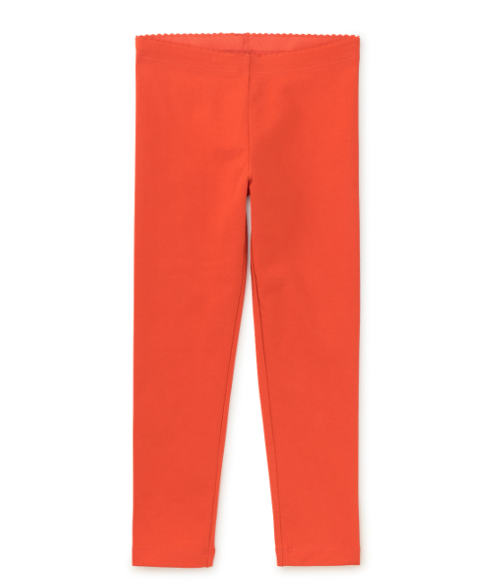 Solid Leggings in Ray