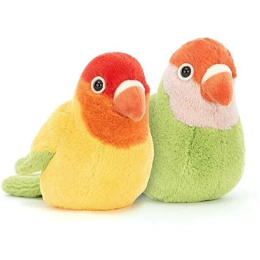 A Pair Of Lovely Lovebirds