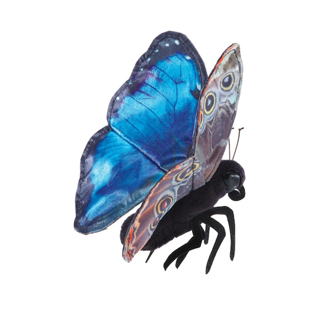 Blue Morpho Butterfly