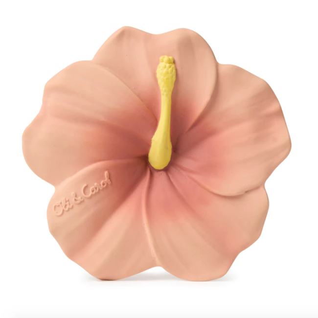Iris The Hibiscus