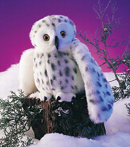 Snowy Owl