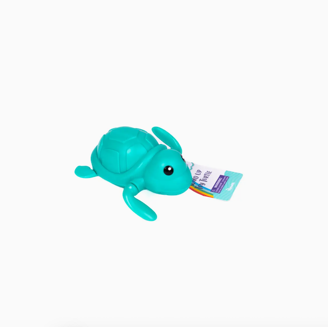 Wind Up Turtle