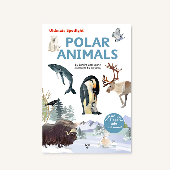 Ultimate Spotlight Books