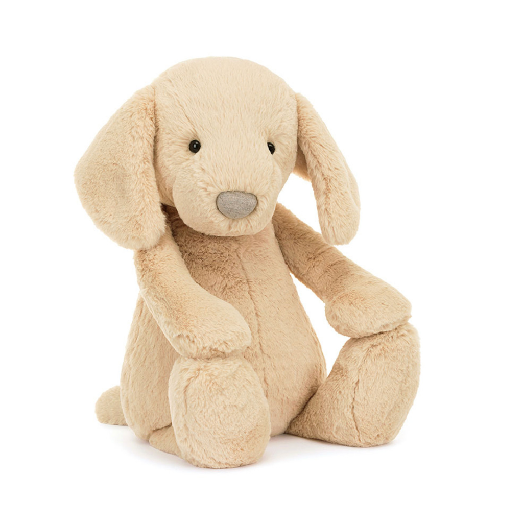 Bashful Luxe Puppy Orlando