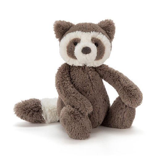 Bashful Medium Raccoon