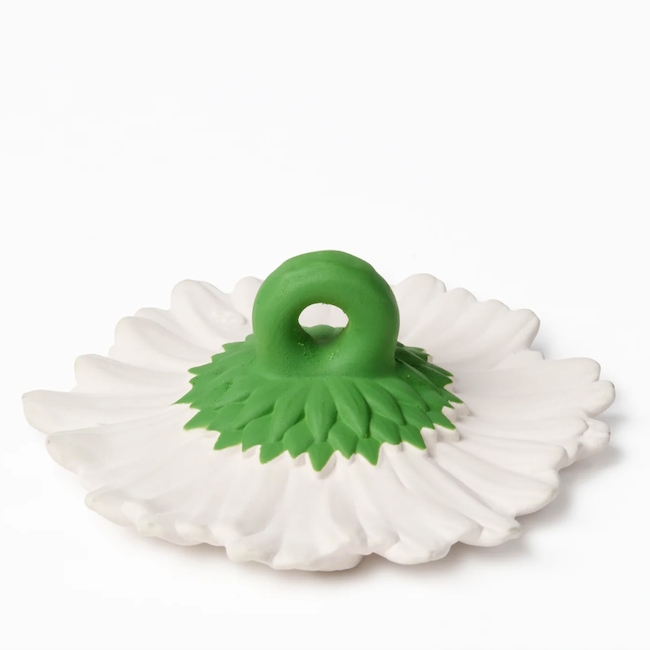 Margarita The Daisy