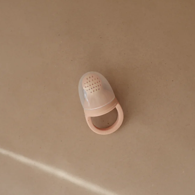 Silicone Fresh Food Feeder 2 - Pack In Blush