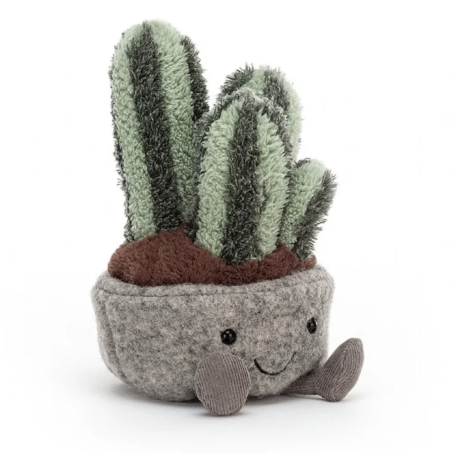 Silly Succulent Columnar Cactus