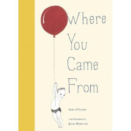 Where You Came From Book