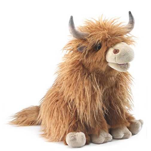 Highland Cow