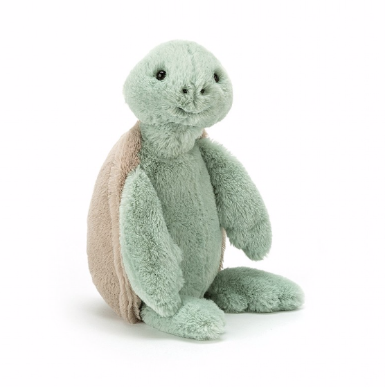 Bashful Small Turtle