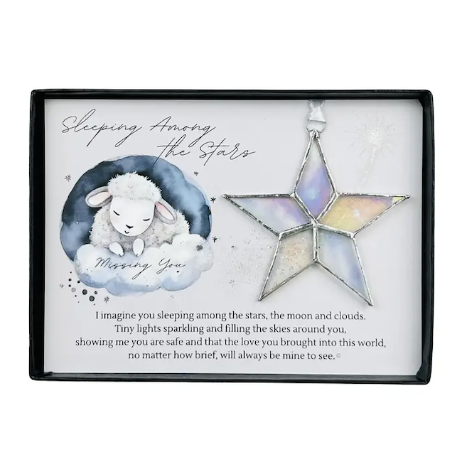 Color : Sleeping Star