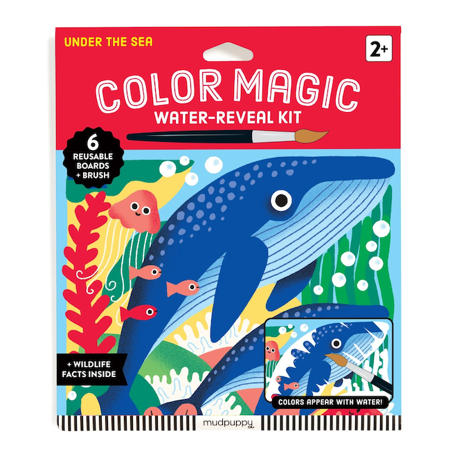 Color : Under The Sea