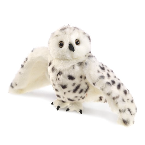 Snowy Owl