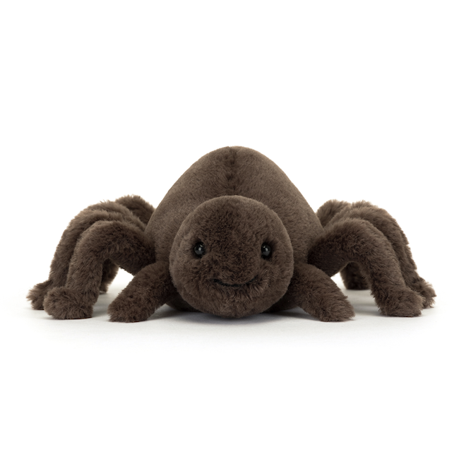 Ooky Spider