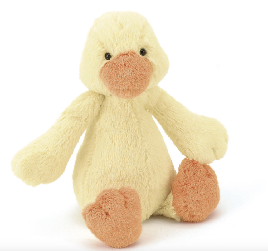 Bashful Small Duckling