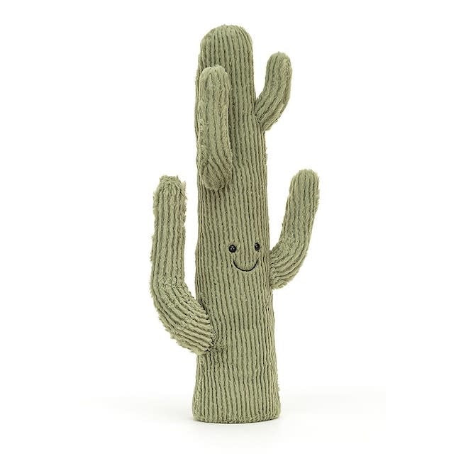 Amuseable Large Desert Cactus