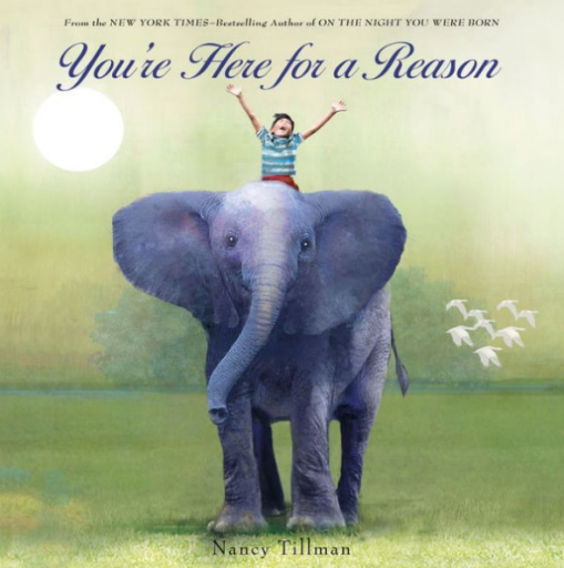 You'Re Here For A Reason Book
