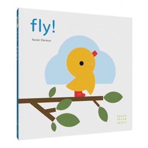 Touch Think Learn Fly