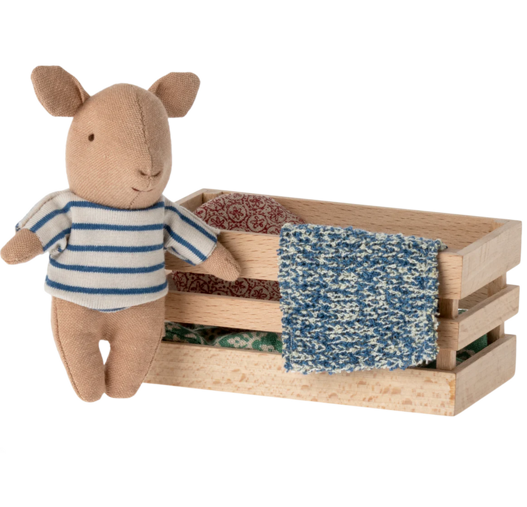 Pig, Baby in box - Boy