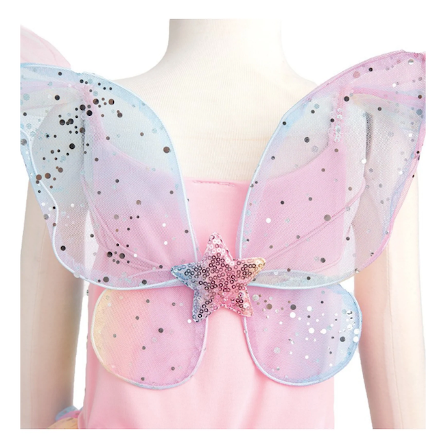 Rainbow Fairy Dress And Wings